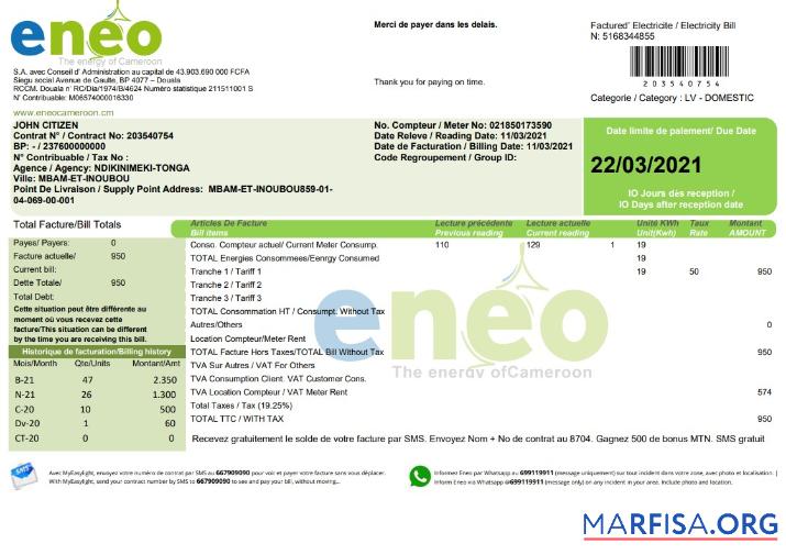 Realistic Cameroon ENEO electricity utility bill template in Word and PDF format (current version)